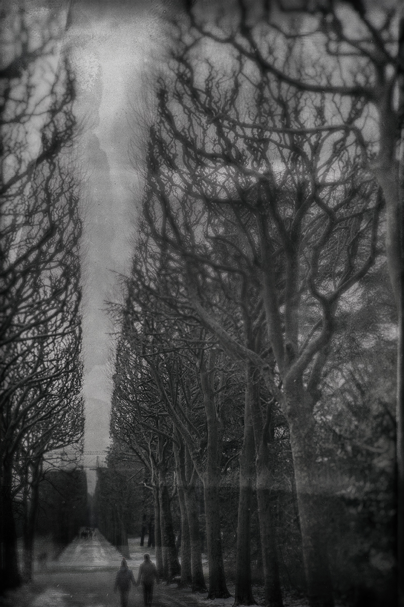 l1010543 collodion allée